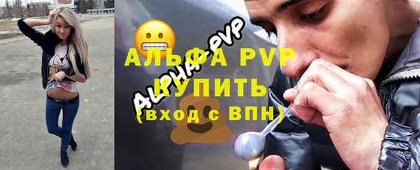 apvp Богородицк